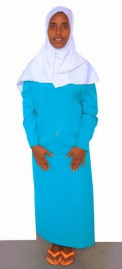 slide-2, House Maid , Ethiopia , Babysitter , House keeping , ironing