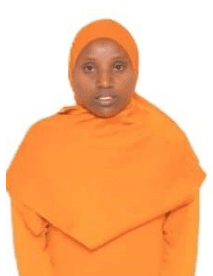 slide-1, House Maid , Ethiopia , House keeping , Babysitter , ironing