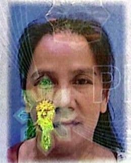 عاملة منزلية, من الفلبين, في تخصص تنظيف المنزل, جليسة اطفال, رعاية المسنين - سبق له/لها العمل