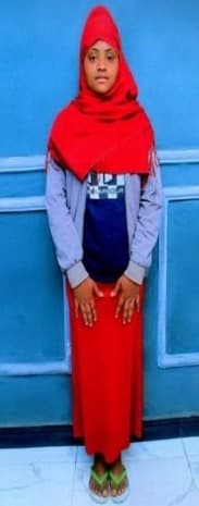 slide-2, House Maid , Ethiopia , House keeping , Babysitter , ironing