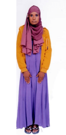 slide-2, House Maid , Ethiopia , House keeping , ironing , Cooking