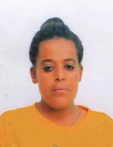 slide-1, House Maid , Ethiopia , House keeping , Babysitter , ironing