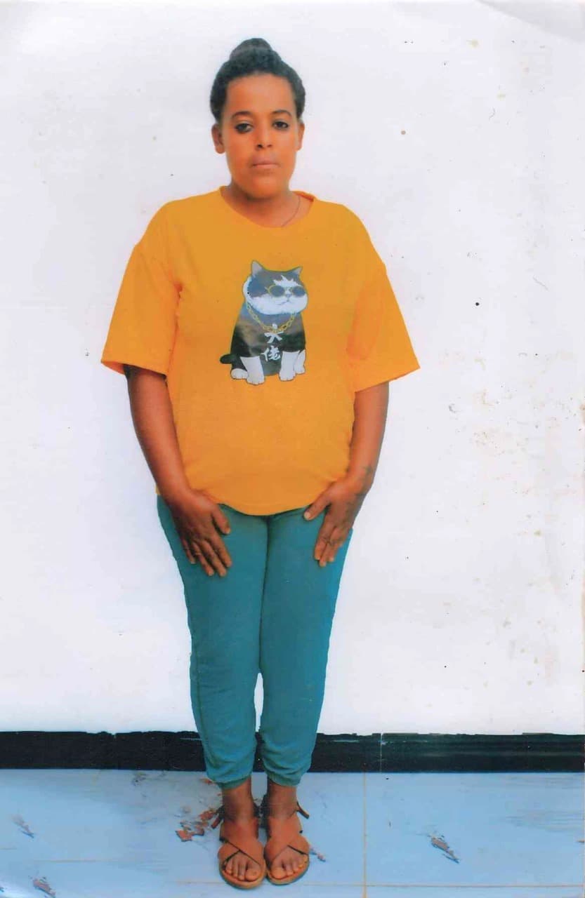 slide-2, House Maid , Ethiopia , House keeping , Babysitter , ironing