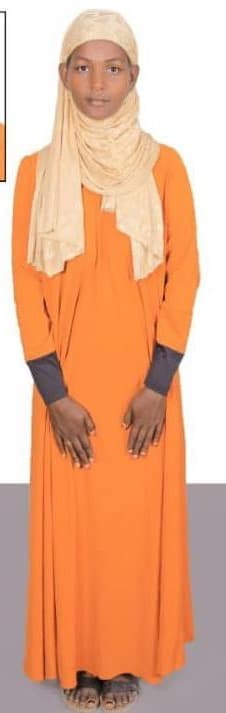 slide-2, House Maid , Ethiopia , House keeping , Babysitter , ironing