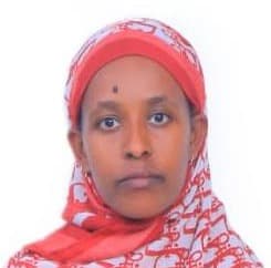 slide-1, House Maid , Ethiopia , House keeping , Babysitter , ironing