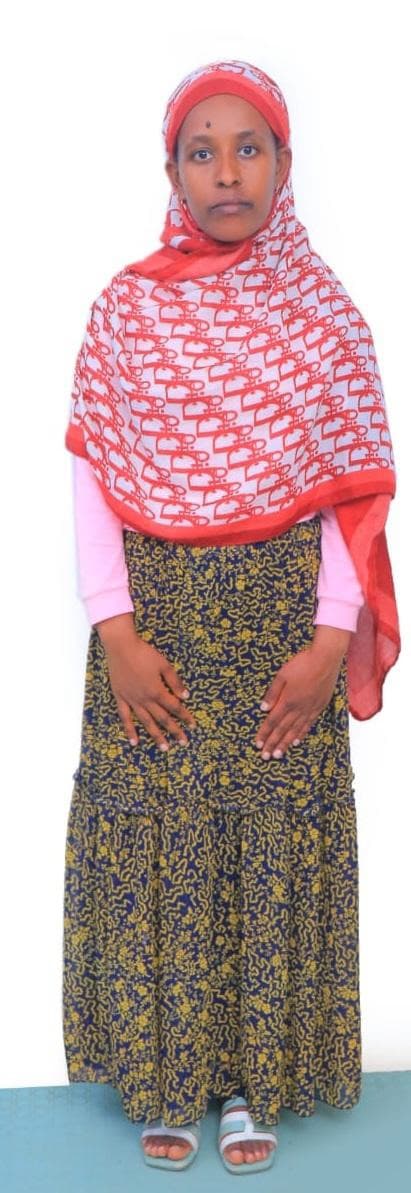 slide-2, House Maid , Ethiopia , House keeping , Babysitter , ironing